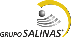 Grupo_Salinas-logo-57C137E188-seeklogo.com